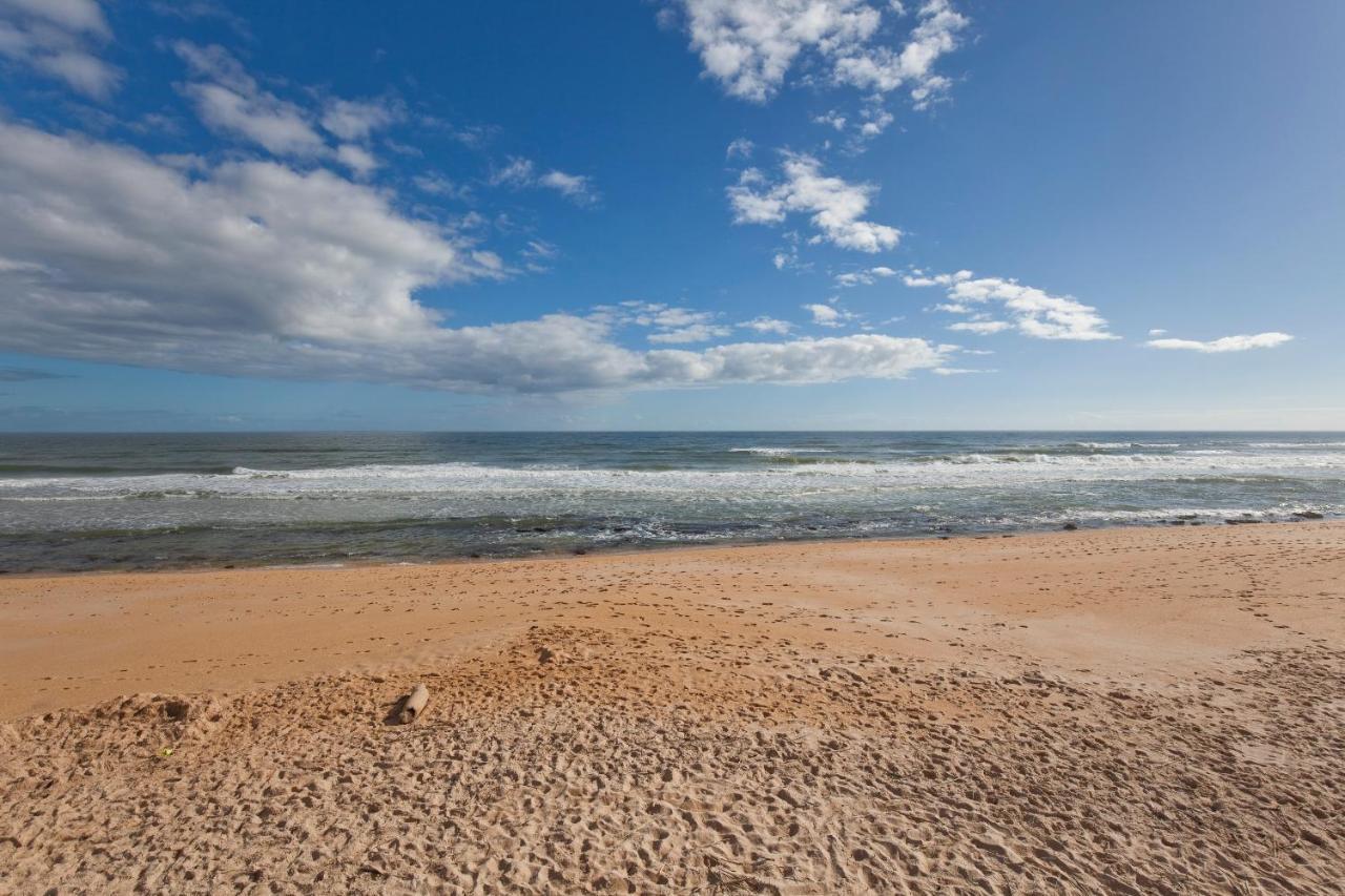 Southernvilla Ticket To Paradise Palm Coast Exteriör bild